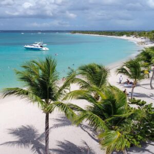 Coqueiro sobre a areia branca de uma praia de Punta Cana, na República Dominicana
