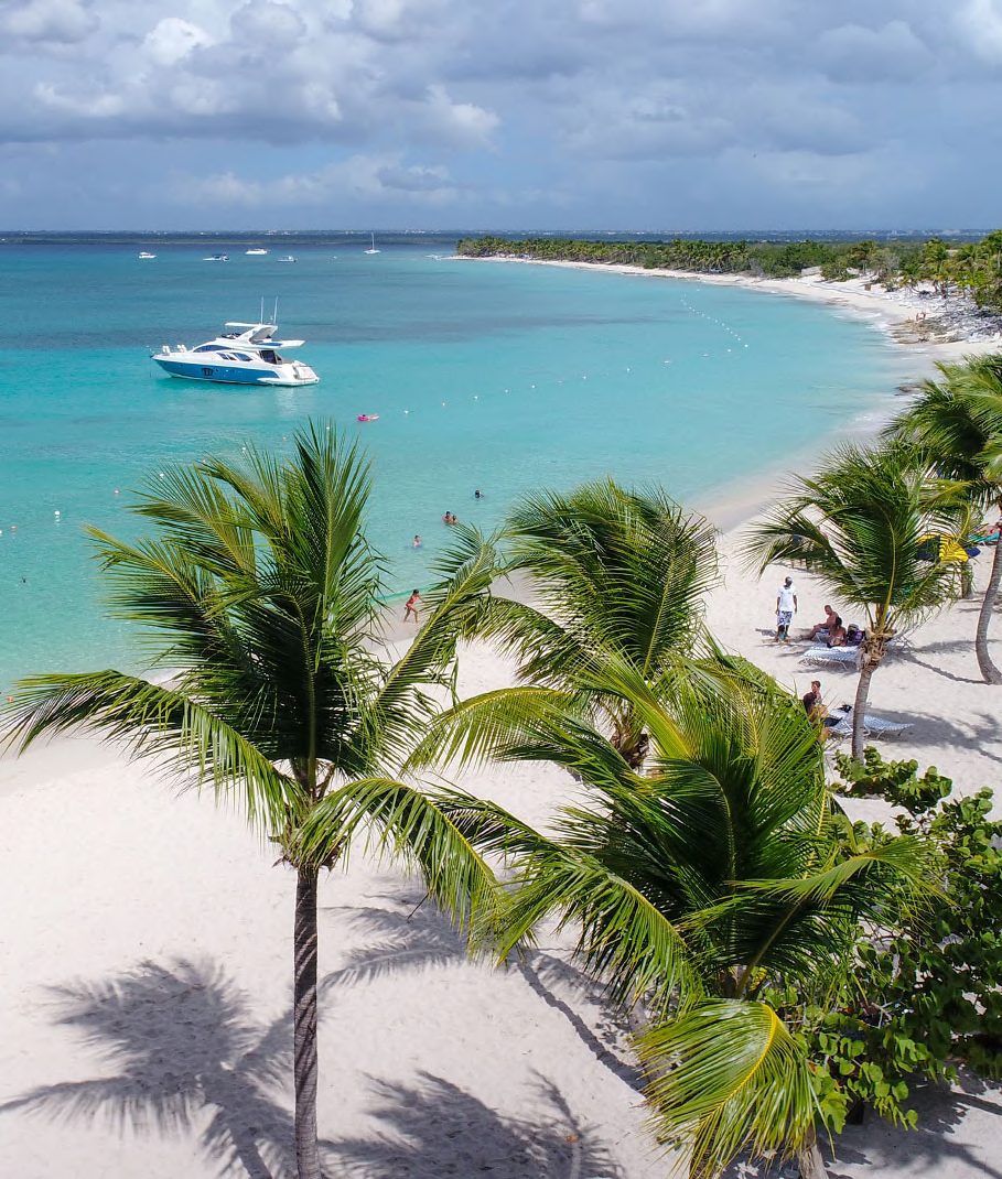 Coqueiros e areia branca em uma praia de Punta Cana, perto do aeroporto internacional
