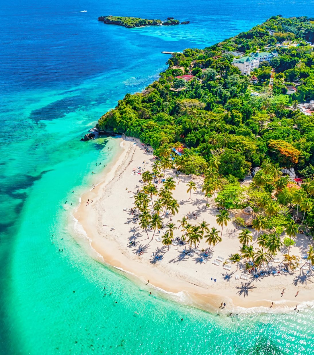 Coqueiros e areia branca na praia da Ilha Saona